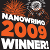 nano_09_winner_100x100